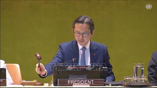 11th NPT Review Conference under Vietnam’s Presidency concludes
