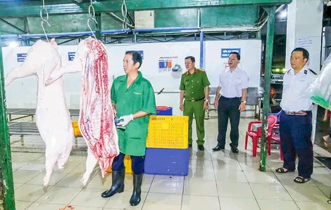 Tăng cường kiểm tra chuyên ngành về bảo vệ môi trường