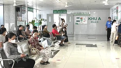 Cập nhật hướng dẫn mới nhất của Bộ Y tế về chẩn đoán và điều trị bệnh Ebola