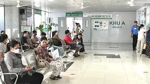 Cập nhật hướng dẫn mới nhất của Bộ Y tế về chẩn đoán và điều trị bệnh Ebola