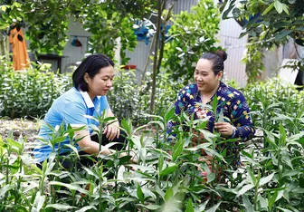 Thường xuyên kiểm tra, giám sát, hướng dẫn hội viên phát huy hiệu quả nguồn vốn vay