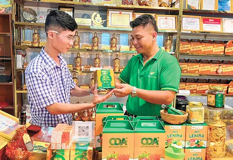 Khẳng định vai trò của kinh tế tập thể
