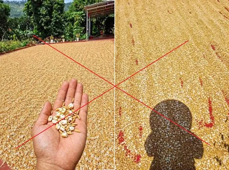 Mạnh tay "dọn rác" trên không gian mạng