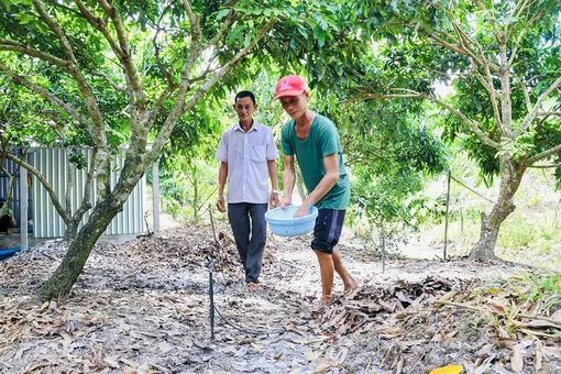 Nhạy bén đón đầu xu thế nông nghiệp sạch