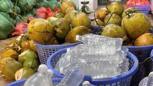 Trời nóng, uống nhiều nước dừa có tốt cho sức khỏe?