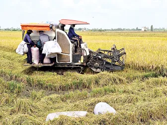 Hỗ trợ nông dân phát triển sản xuất trồng trọt