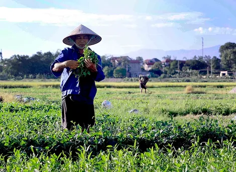 Thời tiết ngày 28/5: Bắc Bộ nắng nóng trước khi đón mưa dông, Nam Bộ mưa to cục bộ