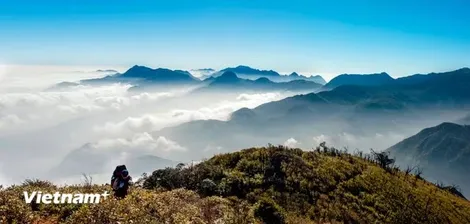 Hội đồng Tư vấn du lịch chính thức kết thúc vai trò hoạt động tại Việt Nam