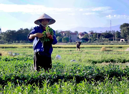 Thời tiết ngày 28/5: Bắc Bộ nắng nóng trước khi đón mưa dông, Nam Bộ mưa to cục bộ
