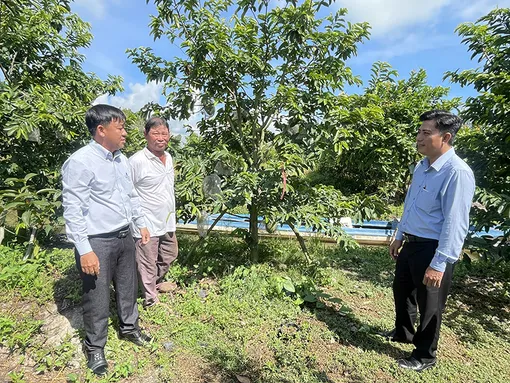 Phát huy sức mạnh đại đoàn kết, chủ động hội nhập và phát triển
