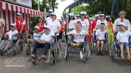 Vietnam steps up efforts to protect rights of persons with disabilities