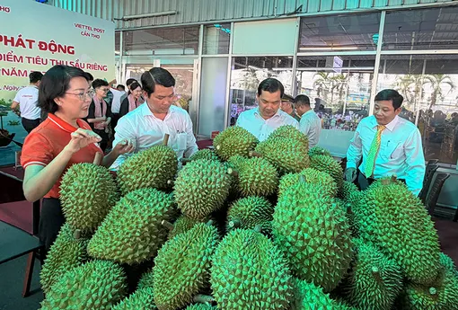 Phát động Tuần lễ cao điểm tiêu thụ sầu riêng