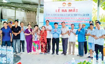 Ra mắt 2 mô hình tổ hợp tác