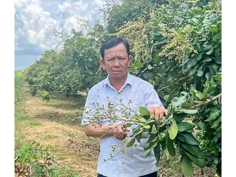 Lão nông Lê Văn Suốt và khát vọng làm giàu