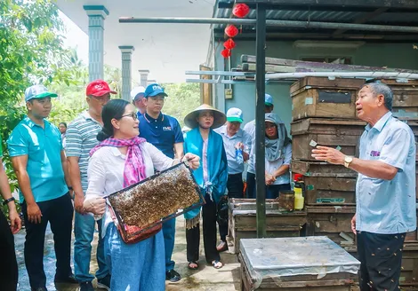Khơi dậy tiềm năng du lịch xanh Cù Lao Dung