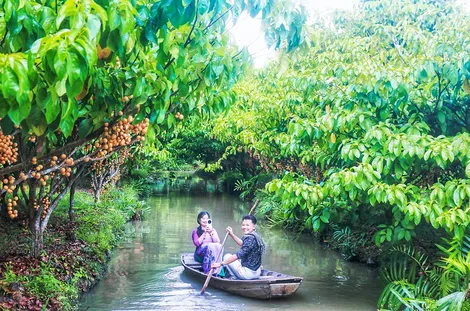 Nhiều hoạt động tại Tuần Văn hóa - Du lịch TP Cần Thơ năm 2026