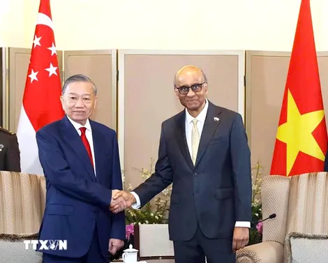 Tổng Bí thư, Chủ tịch nước Tô Lâm hội đàm với Tổng thống Singapore