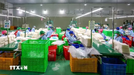 Những chính sách mới nổi bật có hiệu lực từ tháng 6 năm 2026