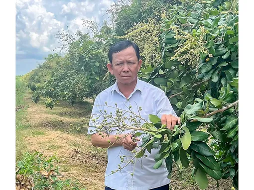 Lão nông Lê Văn Suốt và khát vọng làm giàu