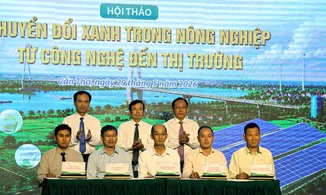 Chuyển đổi xanh trong nông nghiệp: Từ công nghệ đến thị trường