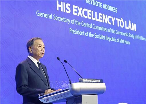 Vietnam seeks more dynamic development and more effective governance: Top leader