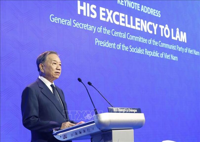 Vietnam seeks more dynamic development and more effective governance: Top leader