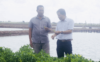 លើក​កម្ពស់​ប្រ​សិទ្ធ​ភាព​ទម្រង់ VAC ក្នុង​ការ​អភិ​វឌ្ឍ​កសិ​កម្ម​បៃ​តង​