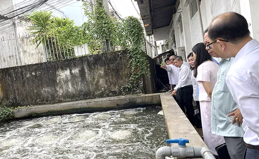 Lãnh đạo thành phố kiểm tra công tác quản lý và xử lý chất thải tại các bệnh viện