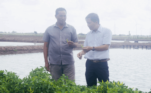 លើក​កម្ពស់​ប្រ​សិទ្ធ​ភាព​ទម្រង់ VAC ក្នុង​ការ​អភិ​វឌ្ឍ​កសិ​កម្ម​បៃ​តង​
