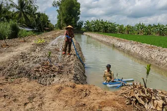 Chủ động đảm bảo nguồn nước ngọt cho sản xuất nông nghiệp