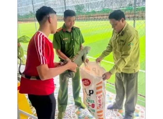 Vận động người dân bàn giao 2 cá thể rồng Nam Mỹ