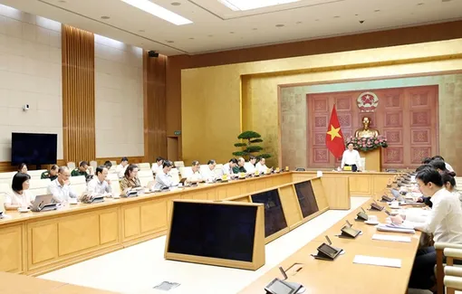 Cả nước phát hiện hơn 2.000 vụ vi phạm quyền sở hữu trí tuệ trong tháng cao điểm