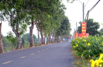 Nông thôn Cần Thơ: Từ nếp sống đến sản xuất xanh