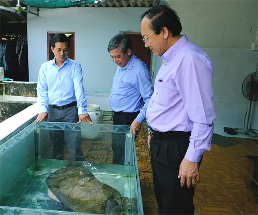 Khơi dậy nội lực nông dân