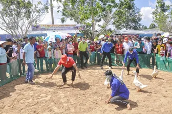 Sắp diễn ra Ngày hội Sông nước miệt vườn lần thứ XX