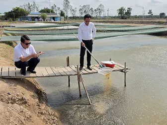 Cần Thơ phát triển đa dạng cây trồng, vật nuôi và thủy sản