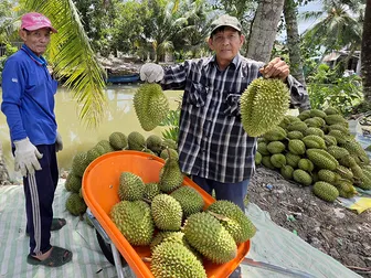Nâng cao chất lượng nông sản đáp ứng yêu cầu hội nhập