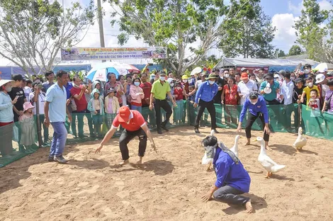 Sắp diễn ra Ngày hội Sông nước miệt vườn lần thứ XX