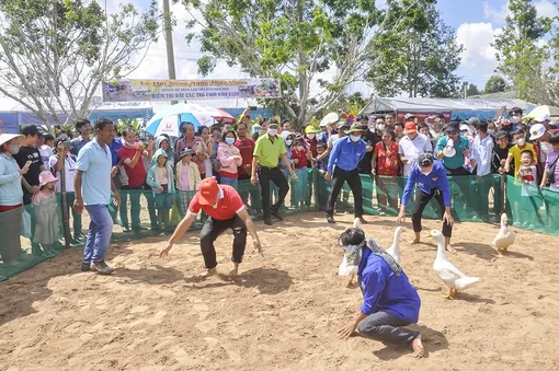Sắp diễn ra Ngày hội Sông nước miệt vườn lần thứ XX