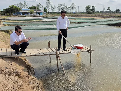 Cần Thơ phát triển đa dạng cây trồng, vật nuôi và thủy sản