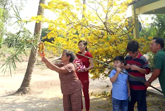 TP Cần Thơ tổ chức cuộc thi ảnh “Tổ ấm yêu thương” chào mừng Ngày Gia đình Việt Nam