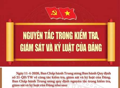 [Infographics] Nguyên tắc trong kiểm tra, giám sát và kỷ luật của Đảng
