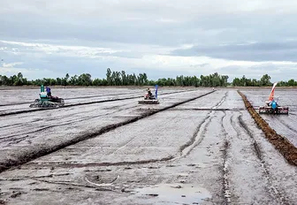 Khơi thông nguồn lực, đưa công nghệ số và cơ giới hóa vào đồng ruộng ĐBSCL