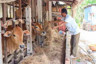 Khi chính sách an sinh đi vào cuộc sống