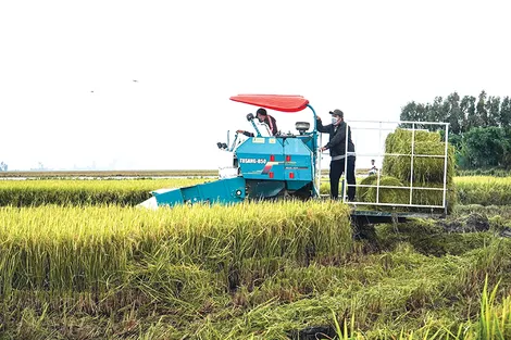 Cơ giới hóa nông nghiệp: Chìa khóa của tăng trưởng xanh