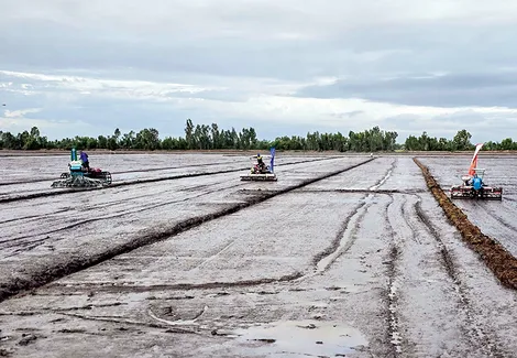 Khơi thông nguồn lực, đưa công nghệ số và cơ giới hóa vào đồng ruộng ĐBSCL