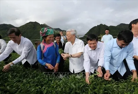 Dấu ấn của nông nghiệp, nông dân, nông thôn Việt Nam sau 40 năm đổi mới