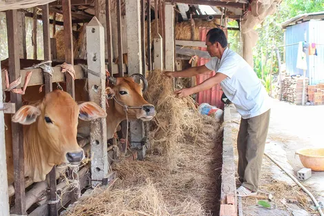 Khi chính sách an sinh đi vào cuộc sống