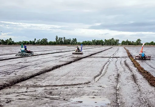 Khơi thông nguồn lực, đưa công nghệ số và cơ giới hóa vào đồng ruộng ĐBSCL