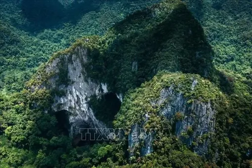 Phong Nha – Kẻ Bàng được UNESCO vinh danh là Khu Dự trữ sinh quyển thế giới